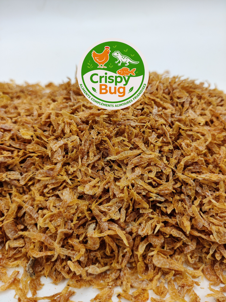 crevettes en vrac avec logo crispybug