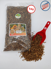 larves de mouche soldat noire 1 kg  déshydratées séchées pour les poules.  Riche en calcium , protéines et bon lipides. format familial et petit élevage récompenses tortues, Nac, Poules, oiseaux, reptiles, poissons