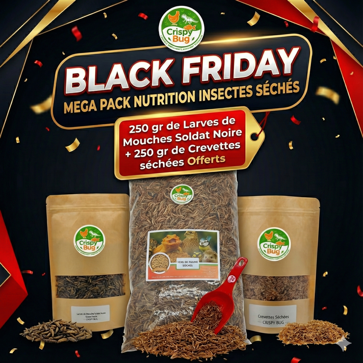 🐛 MEGA Pack Nutrition Poules – Vers 5 kg + 250 g Larves + 250 g Crevettes OFFERTES (Black Friday)