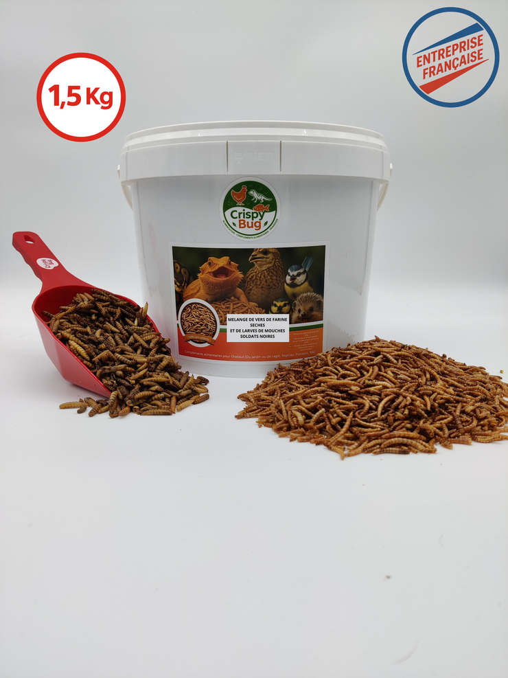 Meleange de 1,5kg de vers de farine et de larves de mouches. Un seau reutilisable et  Une pelle offerte. Logo entreprise francaise et crispybug 