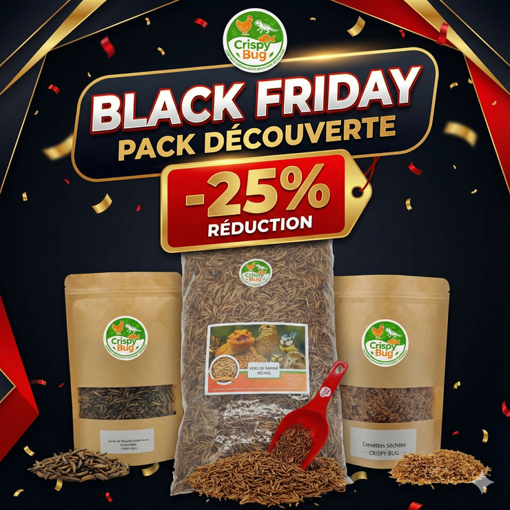 🐔 Pack Découverte Black Friday – Vers + Larves + Crevettes (–25%)