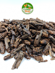 Sauterelles déshydratées 100 gr