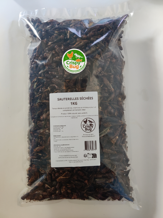Sauterelles séchées
