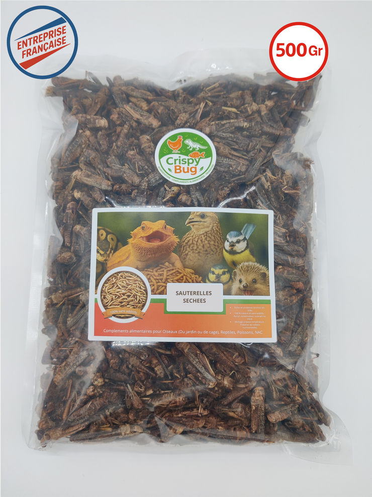 Sauterelles séchées