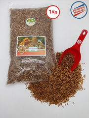 Vers de farine 1 kg déshydratés séchés.  Etiquette de composition - Riche en protéines et bon lipides. Format familial et petit élevage récompenses tortues, Nac, Poules, oiseaux, reptiles, poissons
Une pelle doseuse.