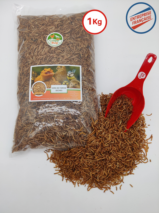 Vers de farine 1 kg déshydratés séchés.  Etiquette de composition - Riche en protéines et bon lipides. Format familial et petit élevage récompenses tortues, Nac, Poules, oiseaux, reptiles, poissons
Une pelle doseuse.