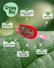 pelle doseuse pour sauterelles sechées ou dehysratées avec logo Crispybug.  Description des avantages des sauterelles séchées. renforce le systeme immunitaire, proteines, vitamines omega  et 6