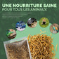 bienfaits vers de farine séchés + larves de mouches soldats noires