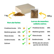 différence mix vers de farine séchés et larves de mouches soldats noires