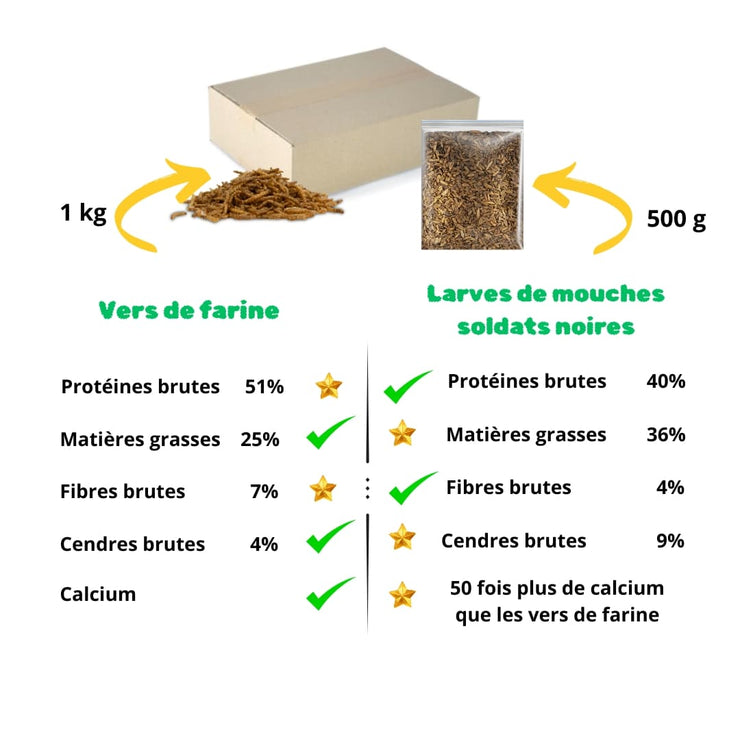 Comparaison mix vers de farine séchés et larves de mouches soldats noires