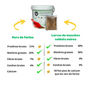 différences vers de farine séchés et larves de mouches soldats noires