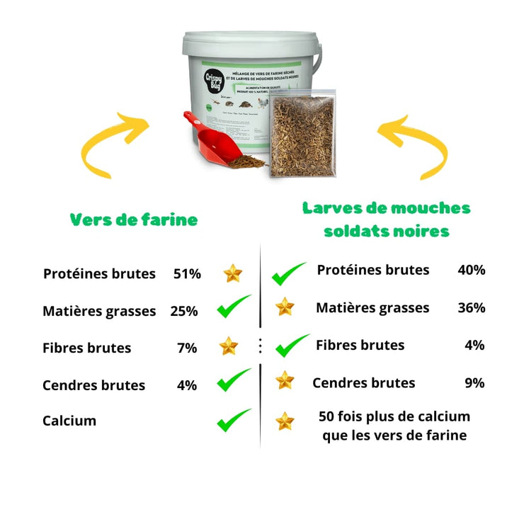 différences vers de farine séchés et larves de mouches soldats noires