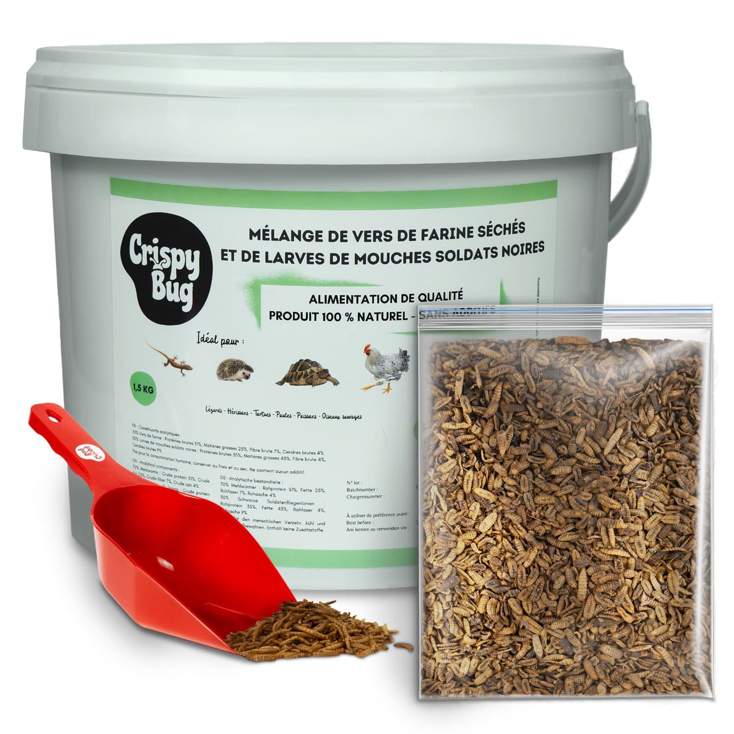 fond blanc kit complet vers de farine séchés et larves de mouches soldats noires