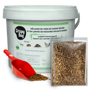 fond blanc kit complet vers de farine séchés et larves de mouches soldats noires