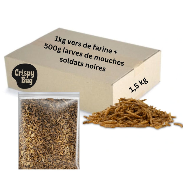 fond blanc mix vers de farine séchés et larves de mouches soldats noires
