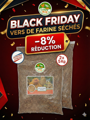Vers de farine séchés