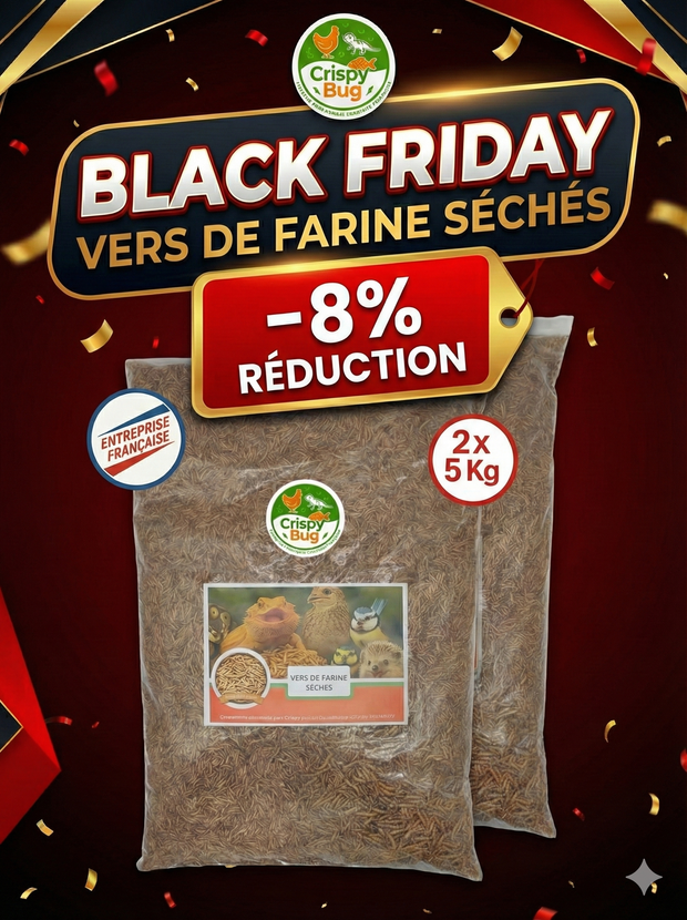 Vers de farine séchés